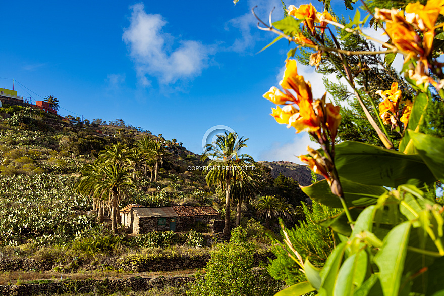 La Gomera: Las Rosas