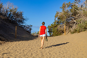 Dunas de Maspalomas: Senderos Y Miradores