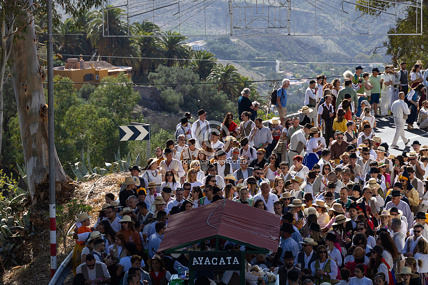 Santa Lucia: Romeria del Labrador