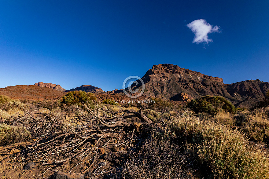 Las Cañadas del Teide - Tenerife