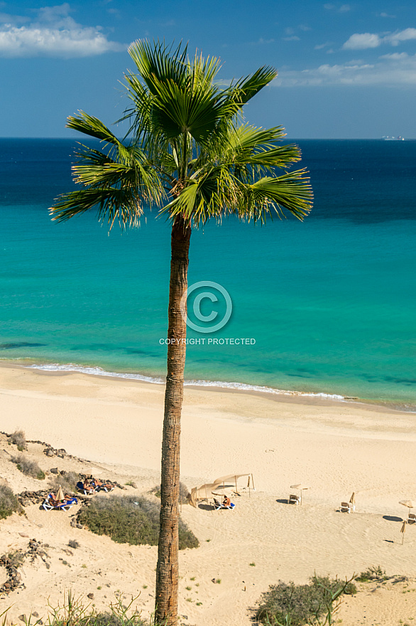 Playa Esquinzo (sur) - Fuerteventura