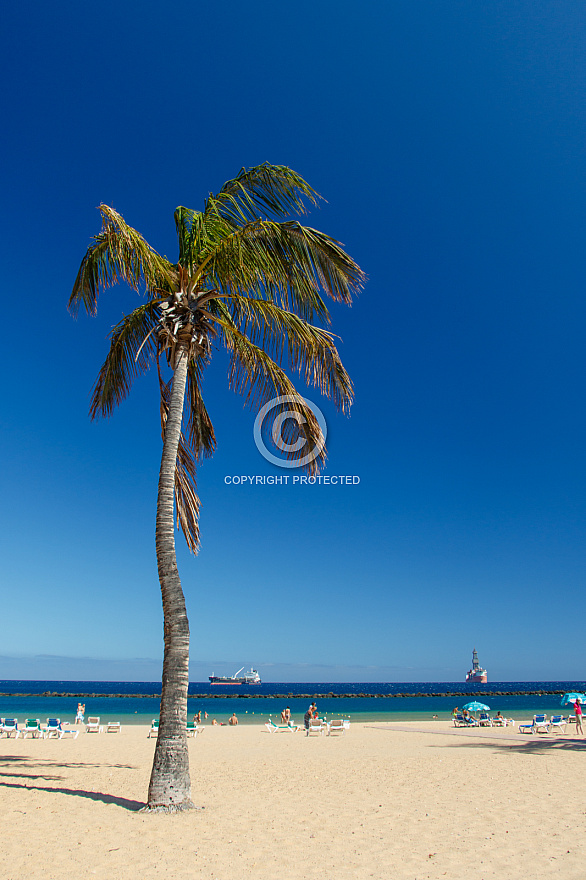 Playa Las Teresitas - Tenerife