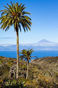 La Gomera: Mirador de Abrante