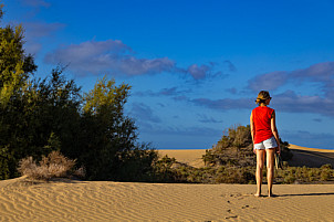 Dunas de Maspalomas: Senderos Y Miradores