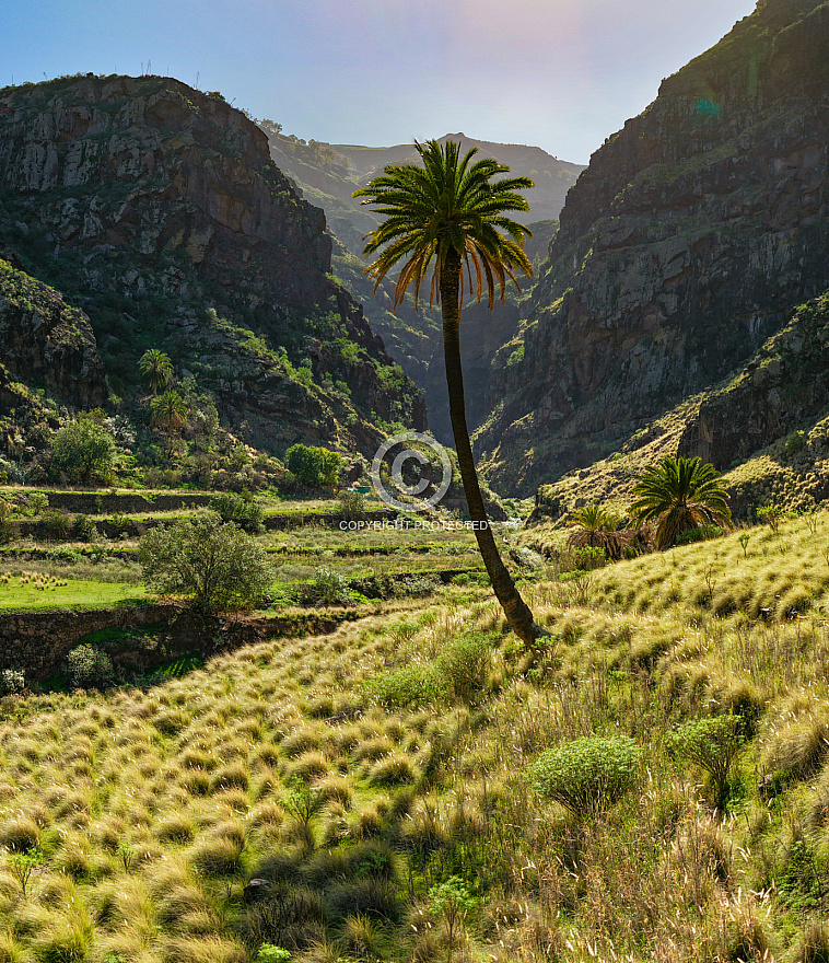 Valle de Agaete - Gran Canaria