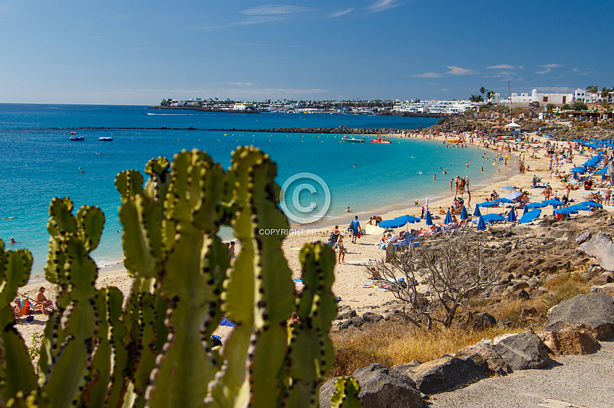 Playa Dorada . Lanzarote