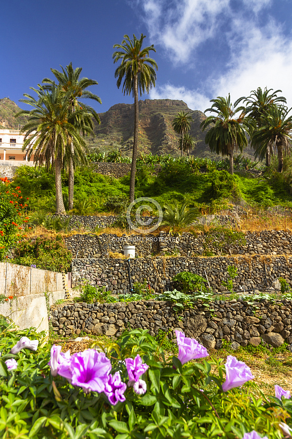 La Gomera: Hermigua