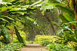 Tenerife: Jardín de Aclimatación de La Orotava