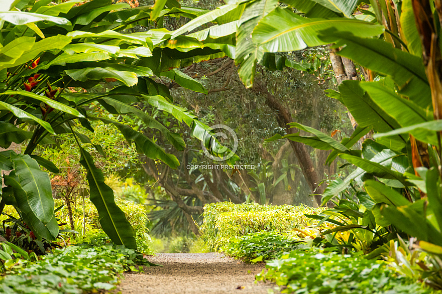 Tenerife: Jardín de Aclimatación de La Orotava