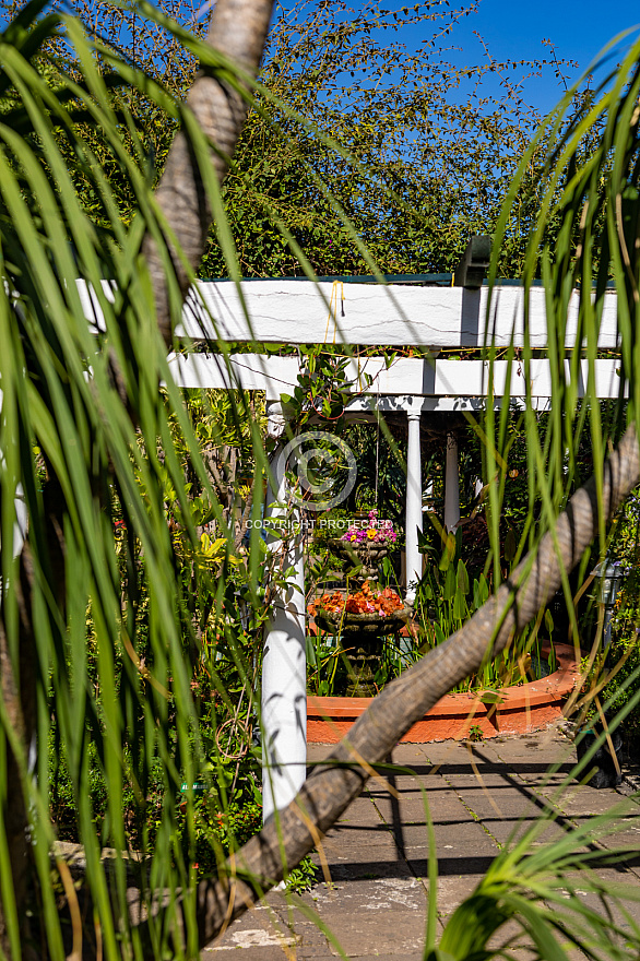 Jardín Sitio Litre - Puerto de la Cruz - Tenerife