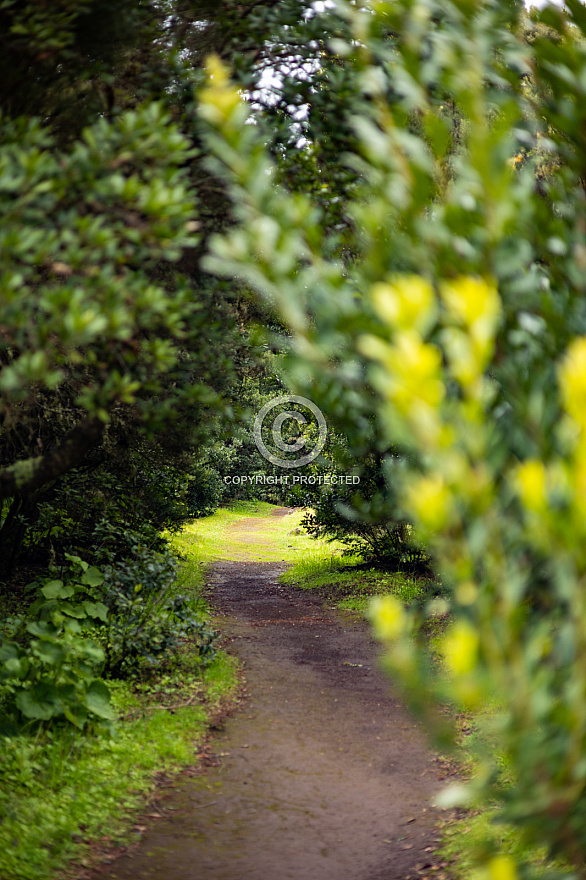 Sendero La Llanía