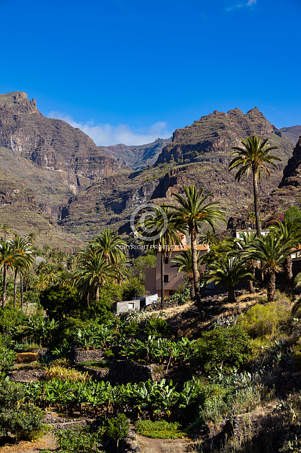 La Gomera: Barranco de Santiago