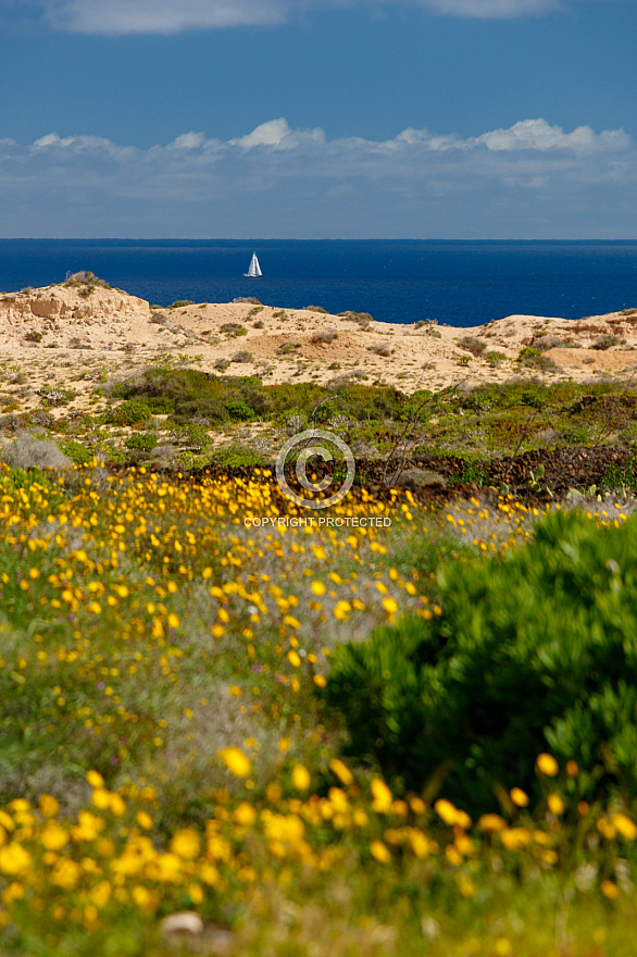 On the Road - Lanzarote