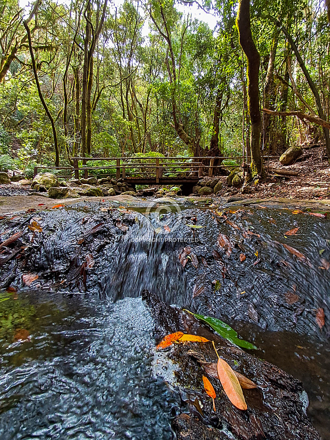 El Cedro - La Gomera