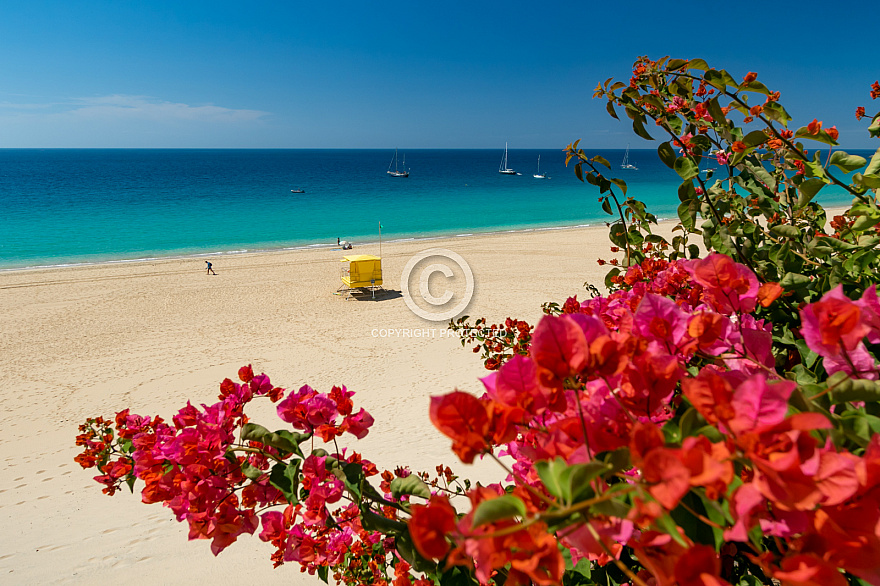 Morro Jable - Fuerteventura