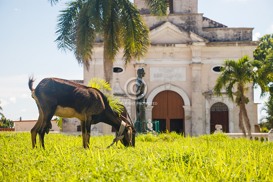 Cuba