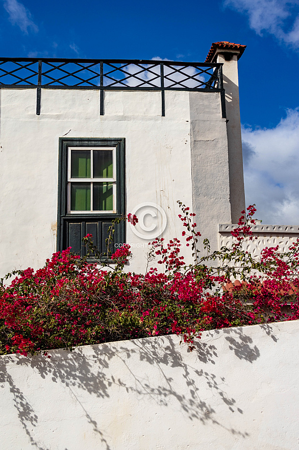 Tenerife: San Miguel de Abona