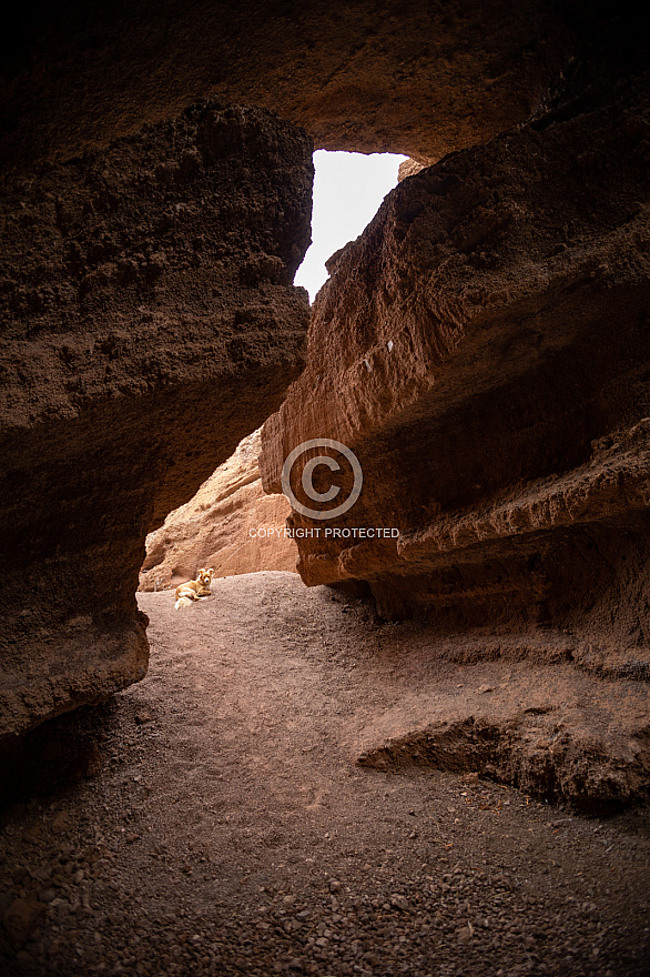 Cueva de Montaña Cabrera