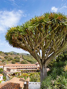 Convento de las Dominicas