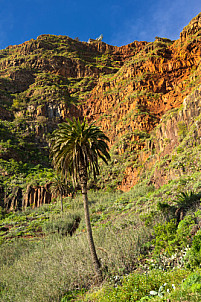 La Gomera: Agulo