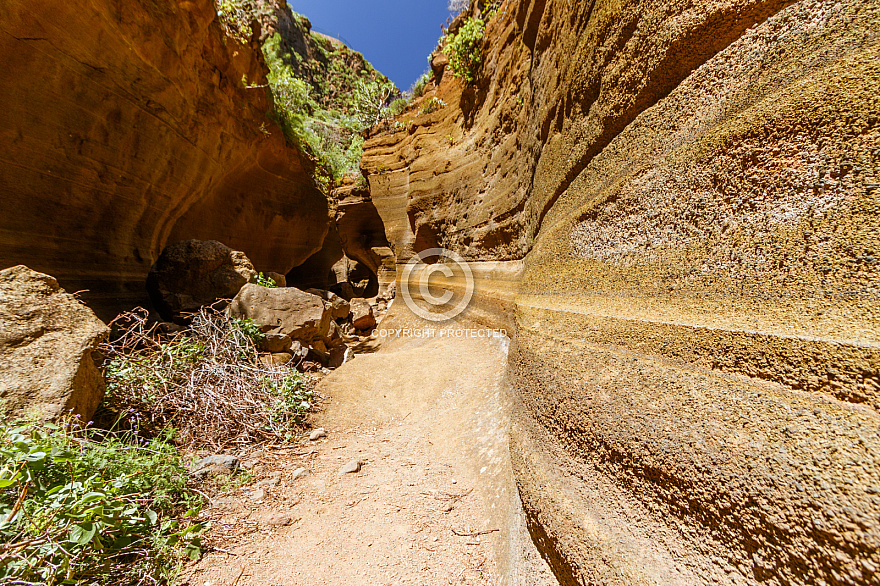 Barranco de las Vacas / Barafonso