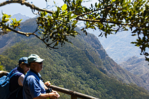 Mirador Pico del Inglés: Tenerife