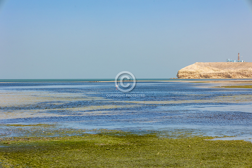 Banc d'Arguin National Park