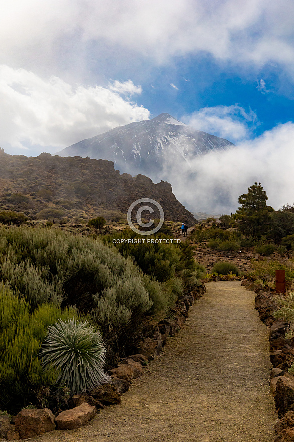 Centro de Visitantes de El Portillo Parque Nacional del Teide - Jardín Botánico - Tenerife