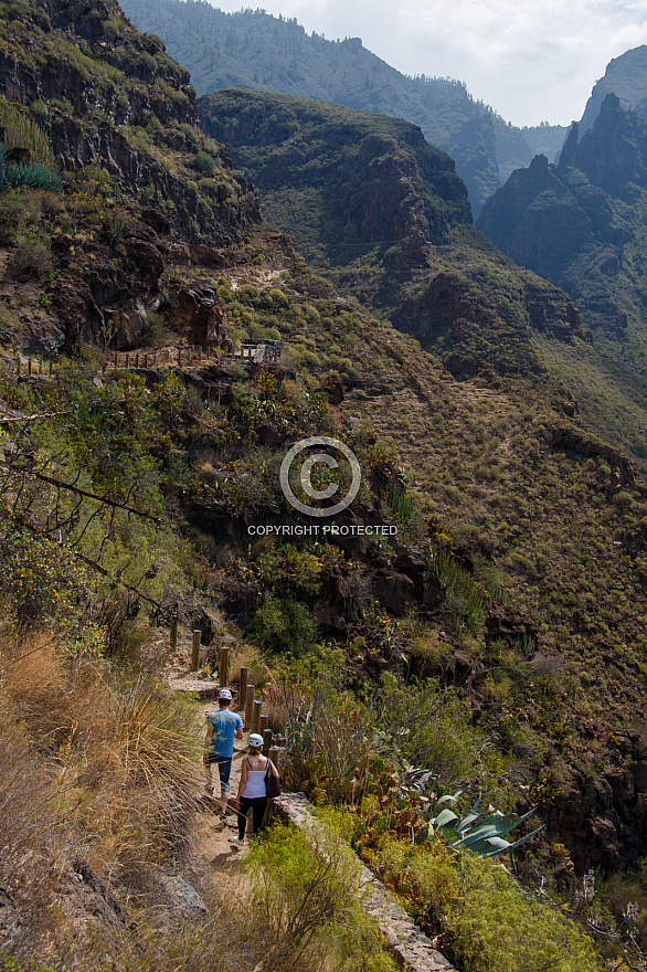 Barranco del Infierno - Tenerife