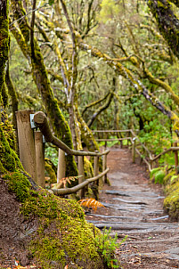 Barranco del Cedro - La Gomera