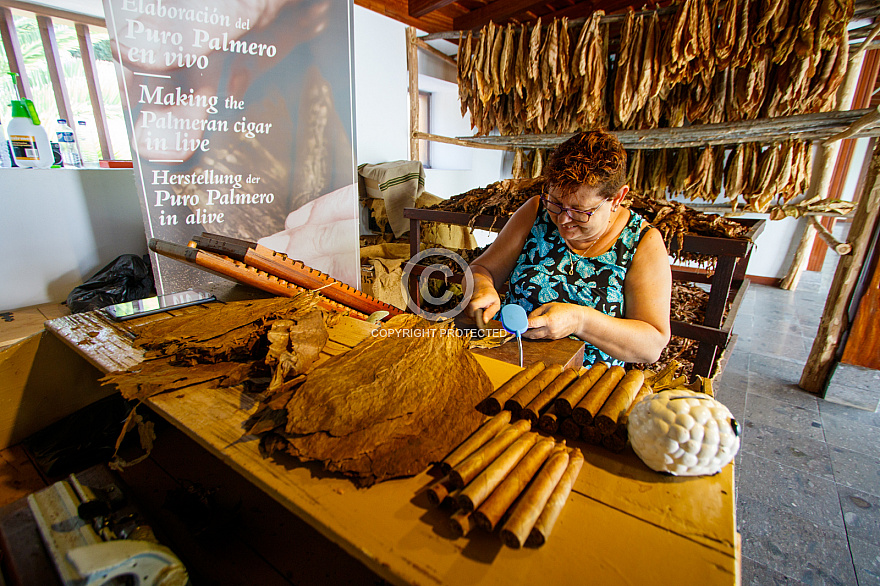 Museo del Puro Palmero - La Palma