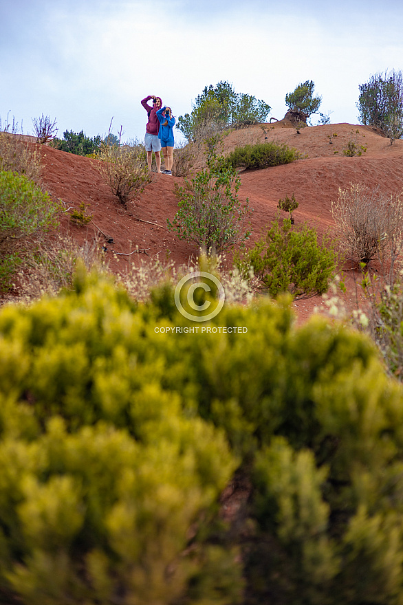 MIrador de Abrante - La Gomera