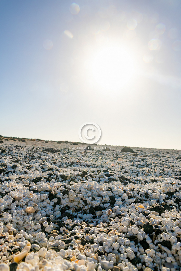 Playa del Bajo de la Burra - Popcorn Beach