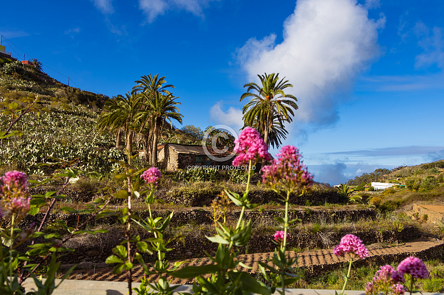 La Gomera: Las Rosas