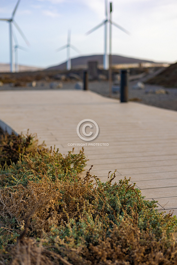 Paseo - El Burrero - Gran Canaria