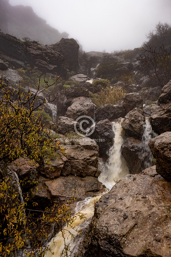 Tejeda when it rains