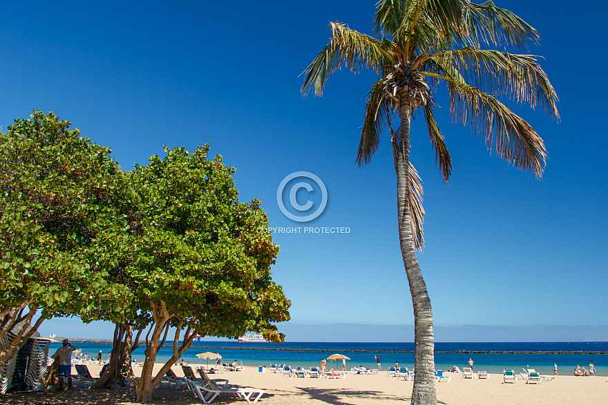 Playa Las Teresitas - Tenerife