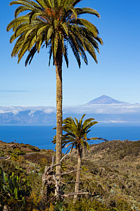 La Gomera: Mirador de Abrante