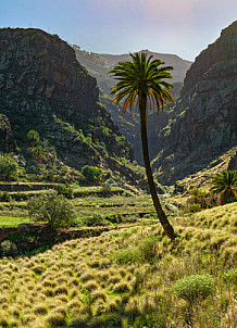 Valle de Agaete - Gran Canaria