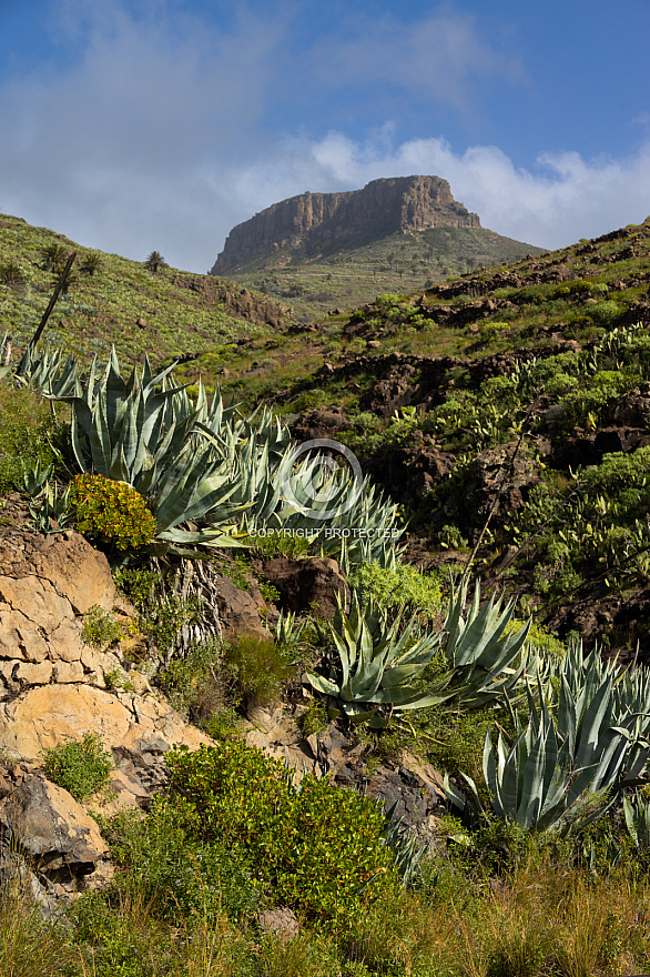 Chipude: La Gomera