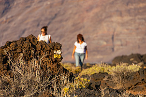 La Maceta y Sendero Litoral El Hierro