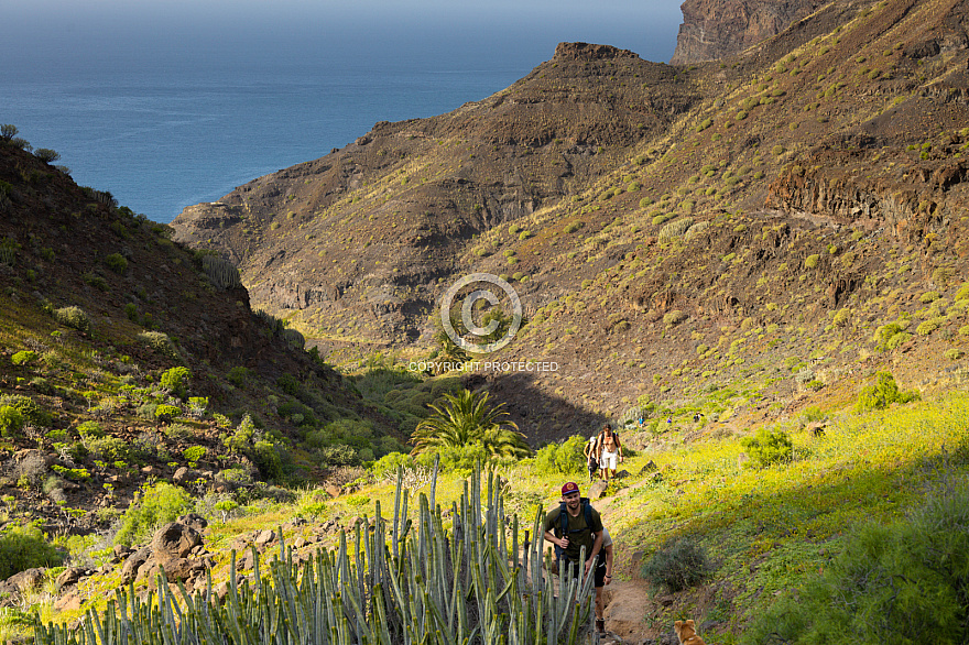 Gran Canaria: GuiGui beach walk