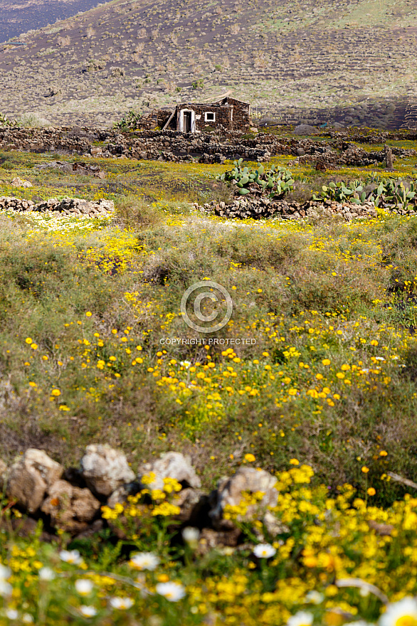 On the Road - Lanzarote