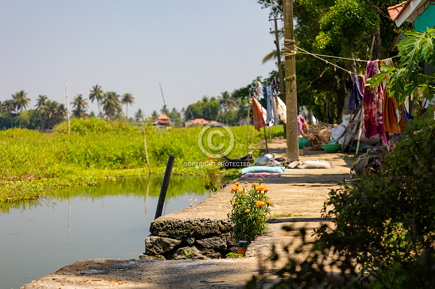 Alleppey - India