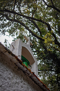 El Cedro - Garajonay