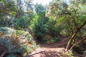 La Gomera