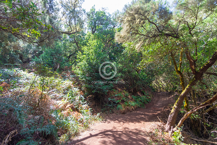 La Gomera