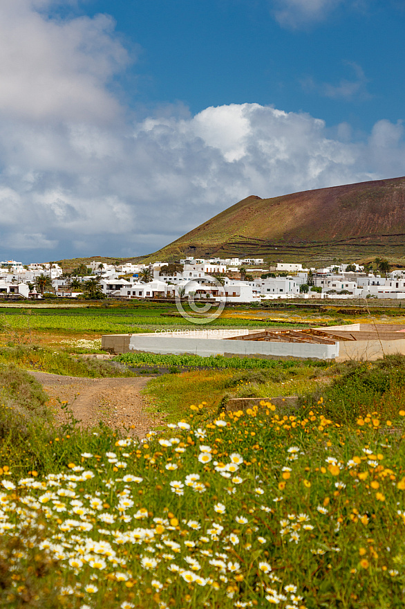 On the Road - Lanzarote