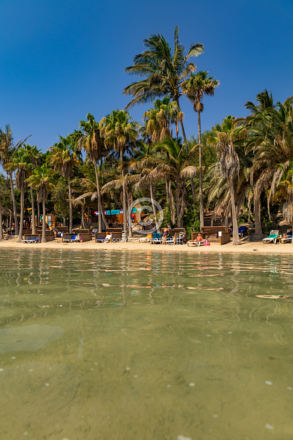 Playa y Laguna de Sotavento - Fuerteventura