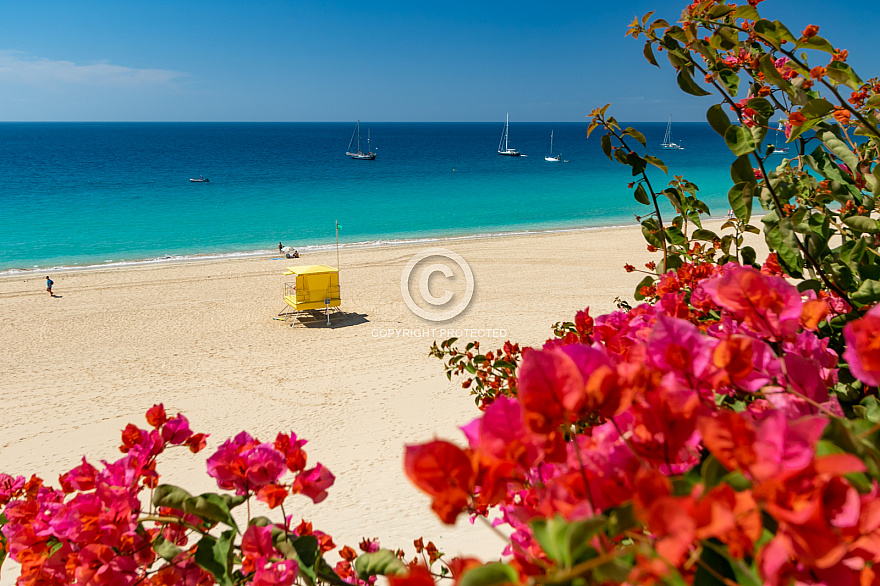 Morro Jable - Fuerteventura